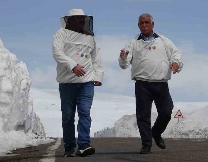 2581 rakımda arıcılardan yol açma çağrısı